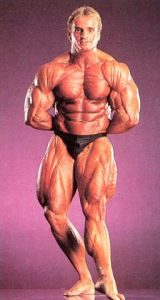 andreas munzer ifbb