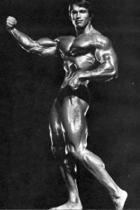 arnold schwarzenegger body