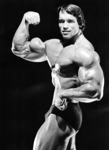 arnold schwarzenegger bodybuilder
