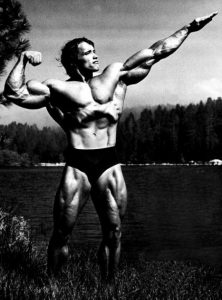 arnold schwarzenegger ifbb