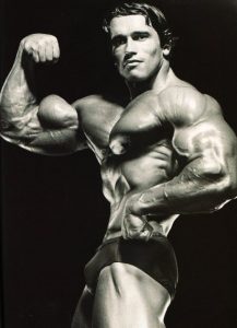 arnold schwarzenegger muscles