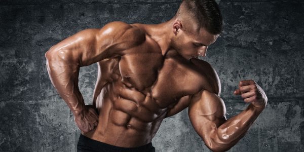 Attractive Muscle