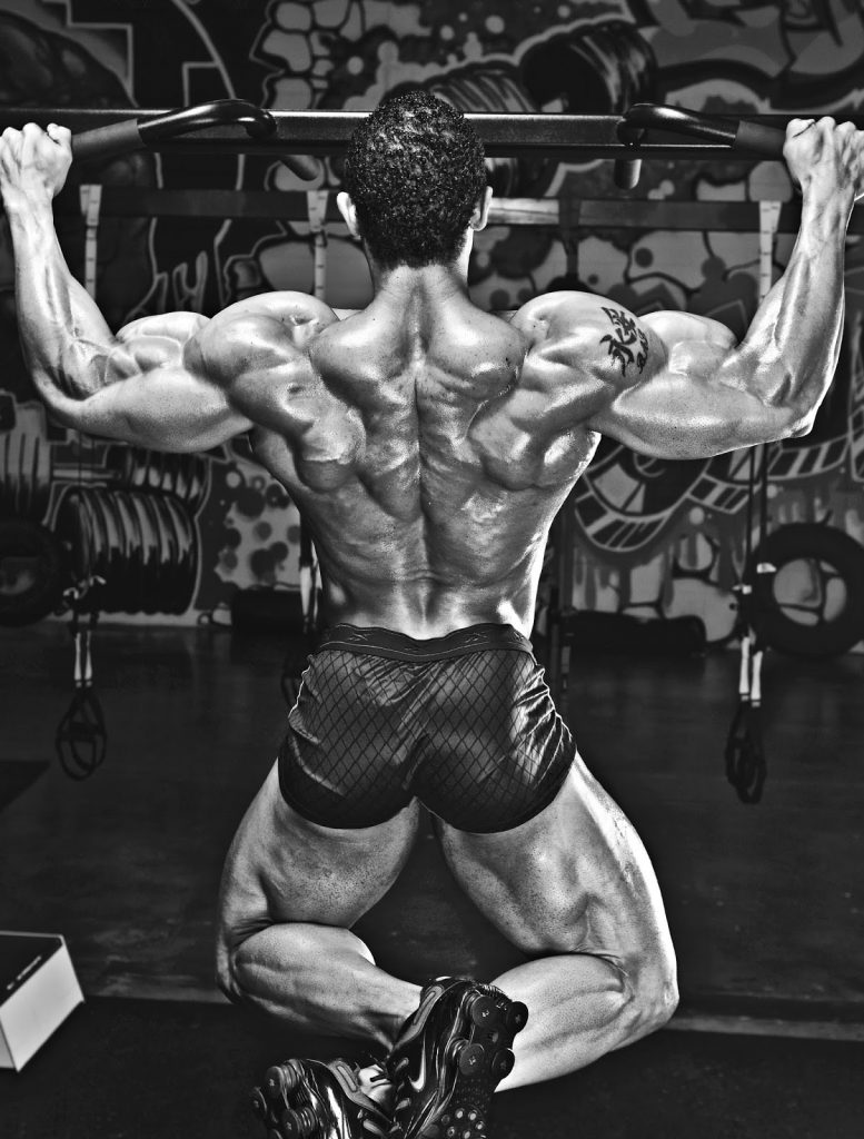 balanced bodybuilding training