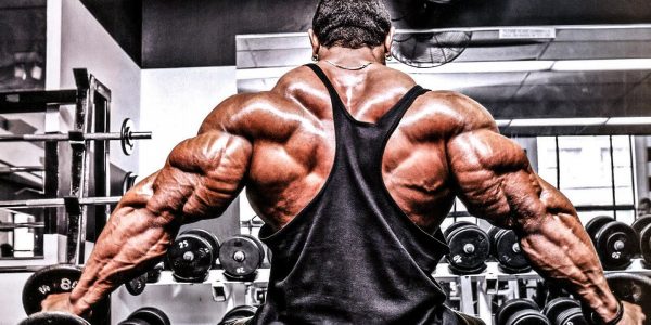 battle tested biceps training