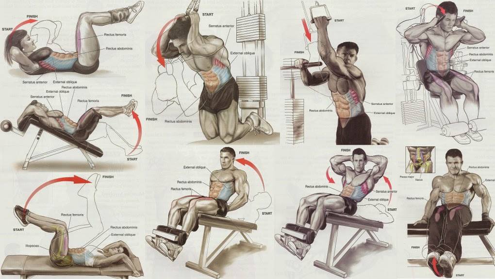 biceps and abdominal training