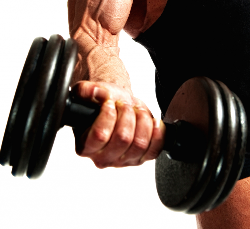 biceps training tips