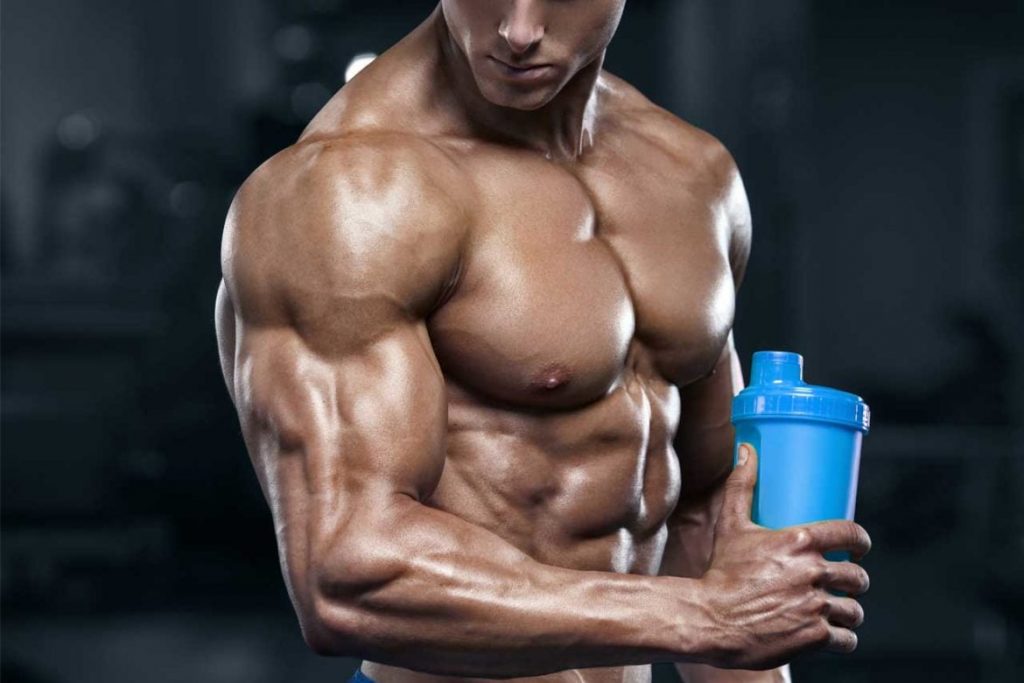 body building supplements