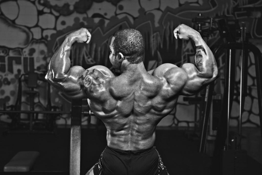 body building training techniques