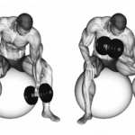 bodybuilding and stability balls