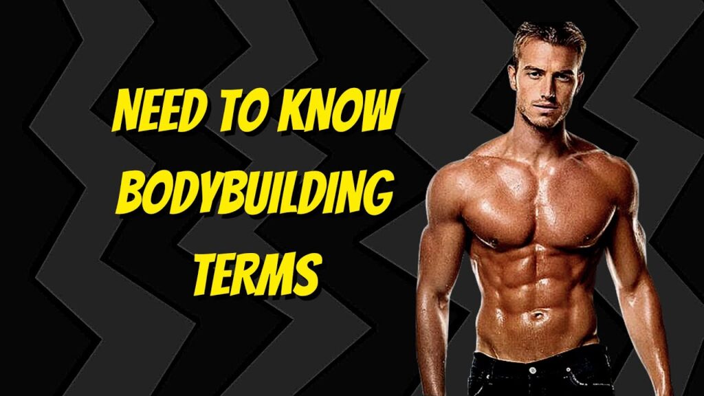bodybuilding terminology