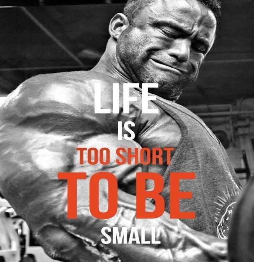 bodybuilding tips