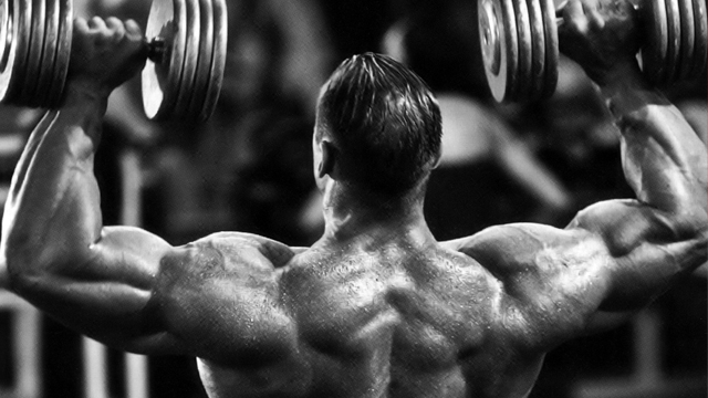 bodybuilding training splits