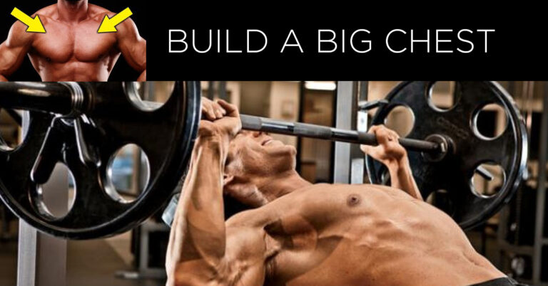 How To Build A Bigger Chest Training Rxbodybuilders How To Build A Bigger Chest Training Rxbodybuilders