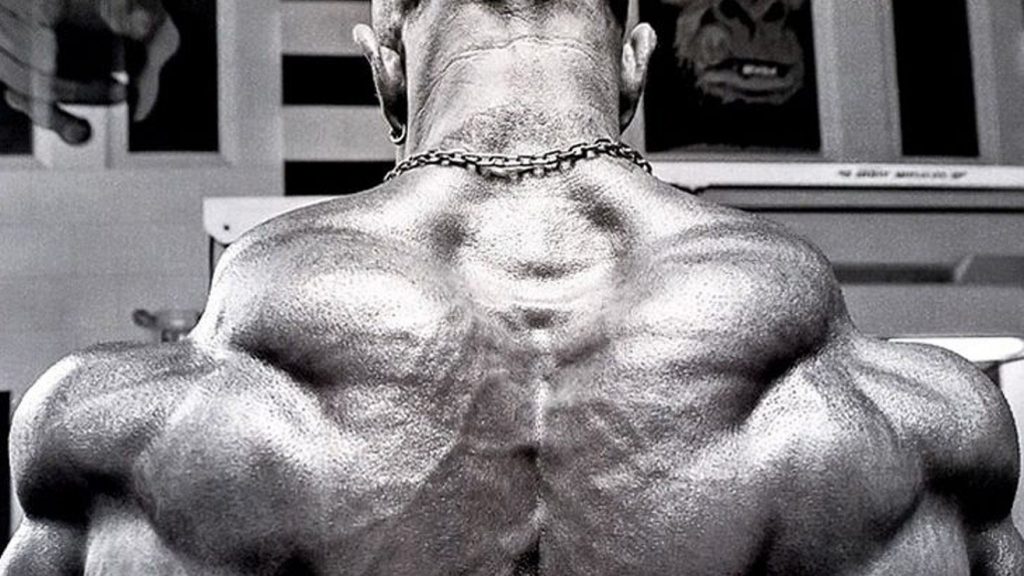 build bigger traps