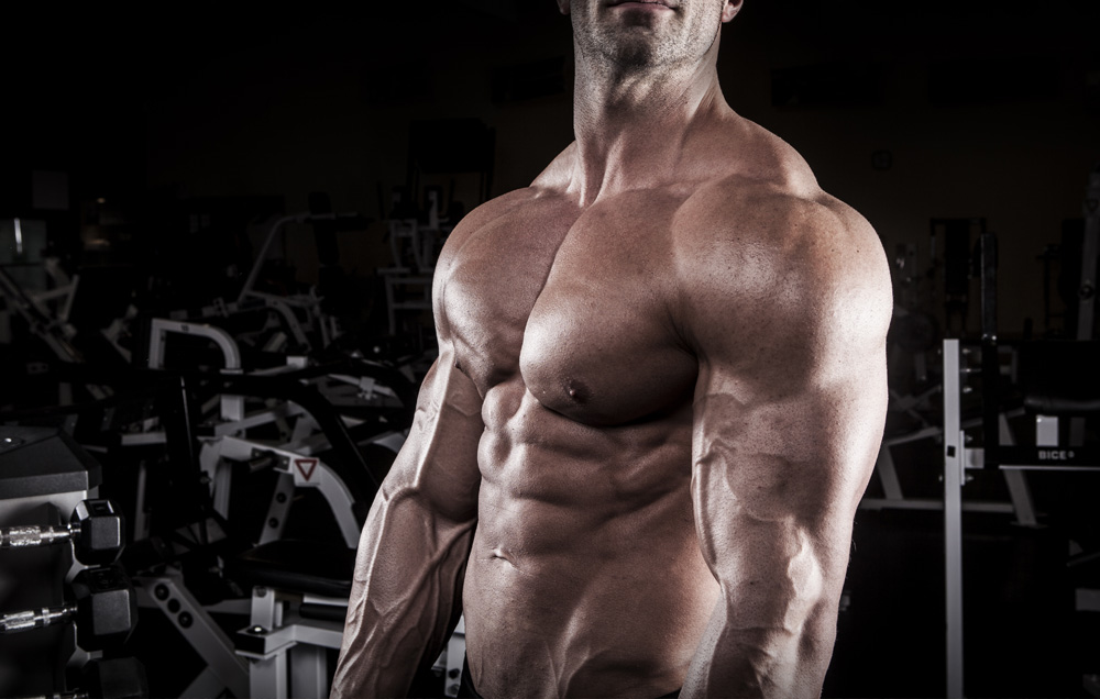 Building Muscle Mass