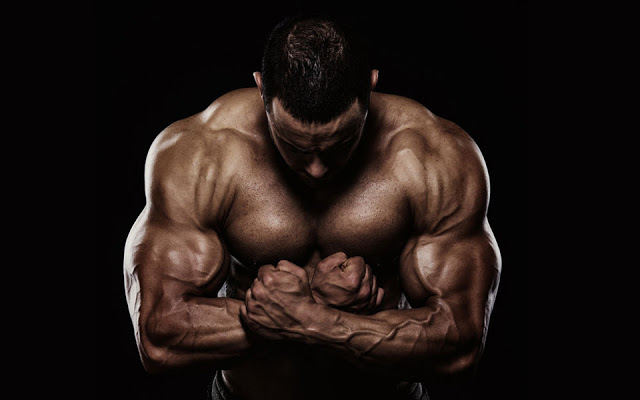 Buy Steroids Online