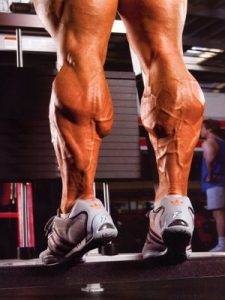 calf training tips