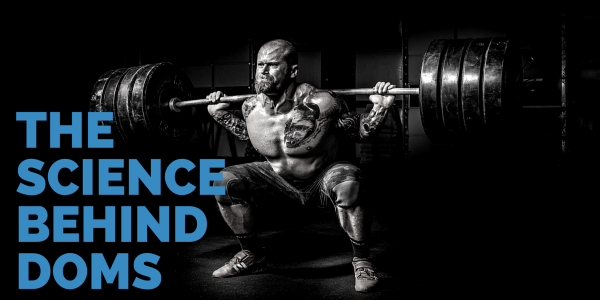 delayed onset muscle soreness
