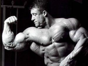 dorian yates bodybuilder