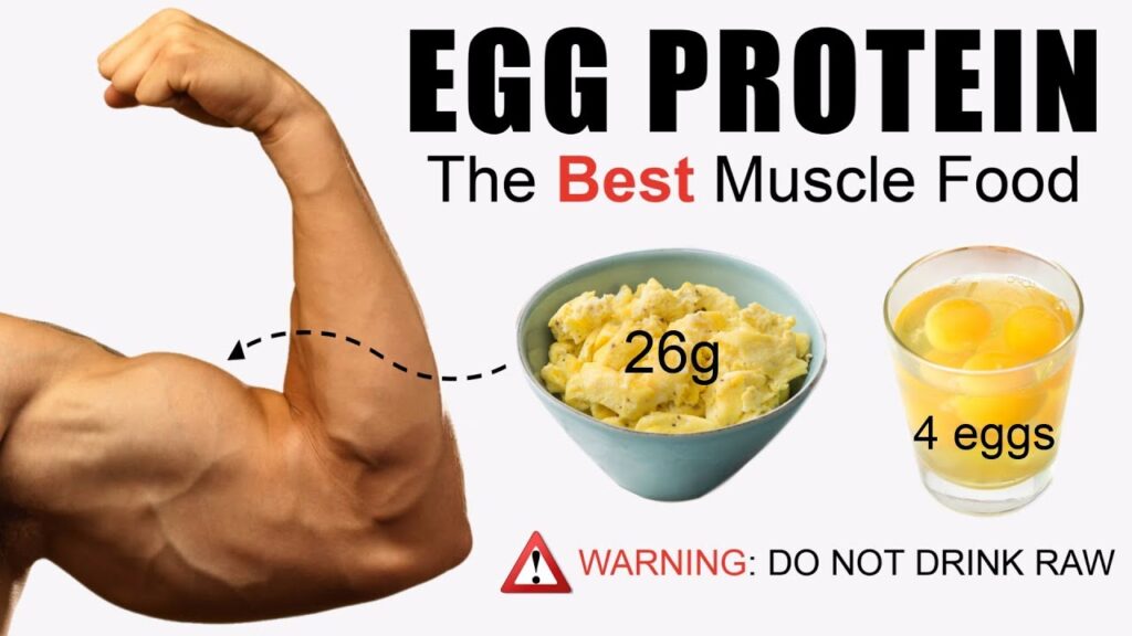 egg cholesterol and you