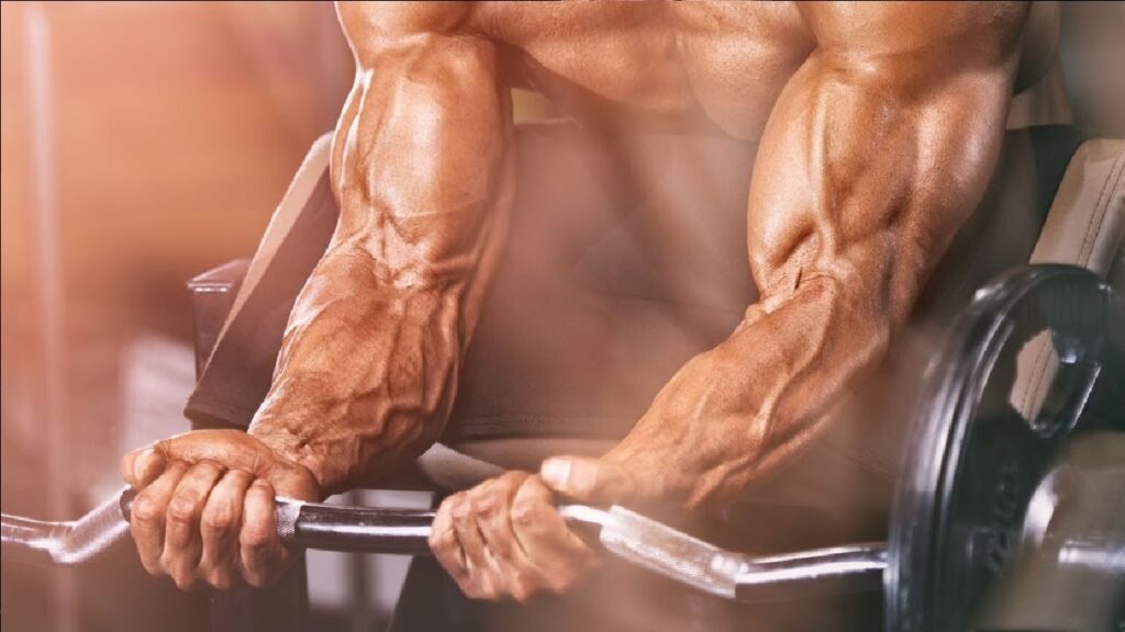 Forearm Muscle Training For A Balanced Physique forearm muscle training for a balanced physique