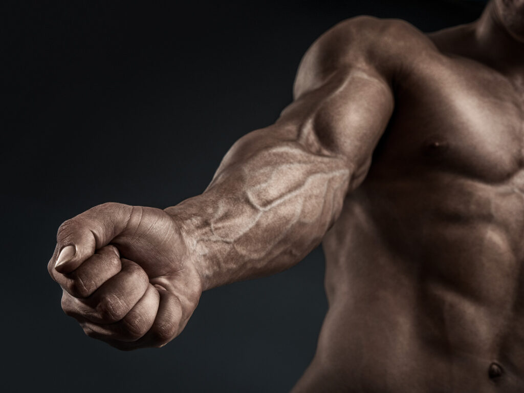 How To Build Muscle On Your Forearms how to build muscle on your forearms
