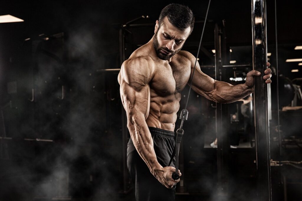 how to maximize the efficiency of your bodybuilding workouts