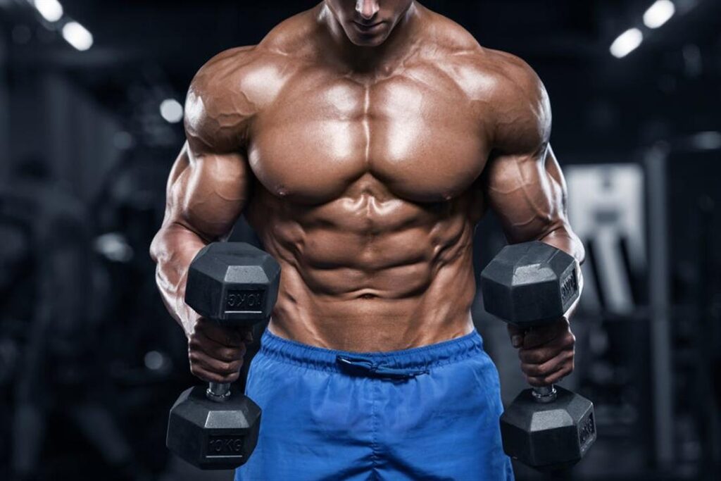 how to produce lean muscle within 6 months