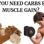 increasing muscle carbohydrates