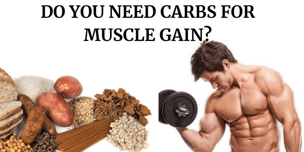 increasing muscle carbohydrates