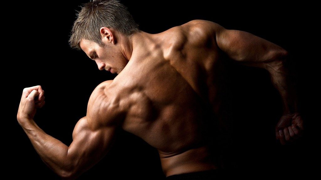 lean muscle mass