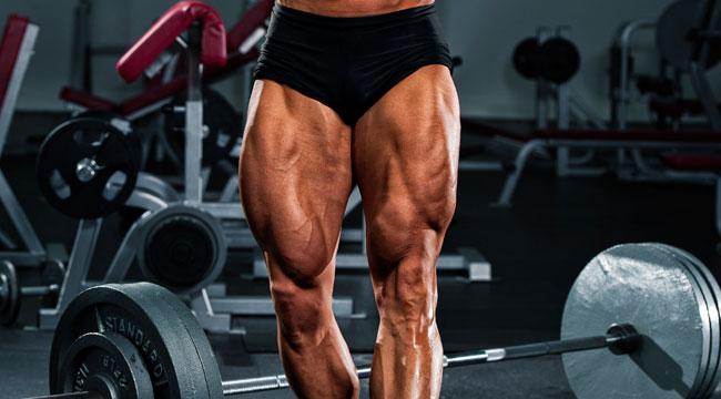 massive leg muscles