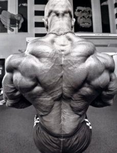 michael kefalianos ifbb
