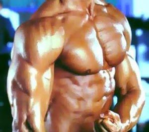 muscle building tips