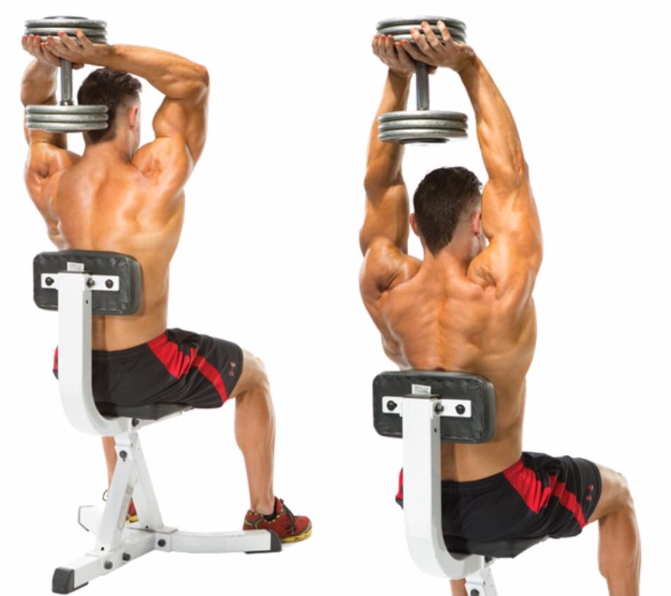 Overhead Dumbbell Extensions