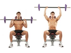 Seated Military Barbell Press
