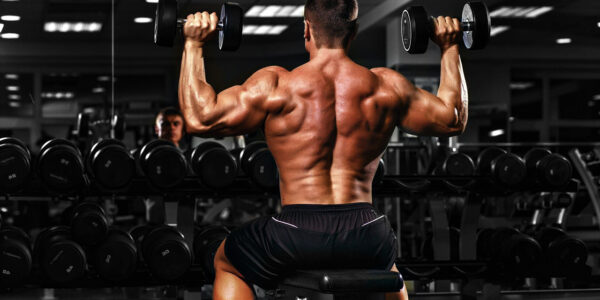 shoulder training tips taking it back to basics