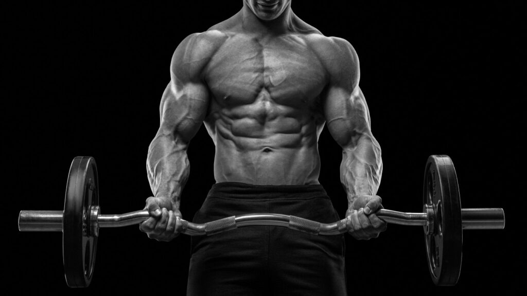 stimulated bodybuilding