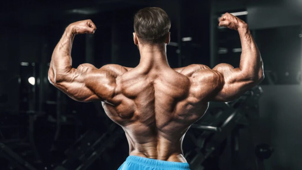 supersets for shoulder development