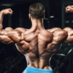 supersets for shoulder development