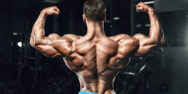 supersets for shoulder development