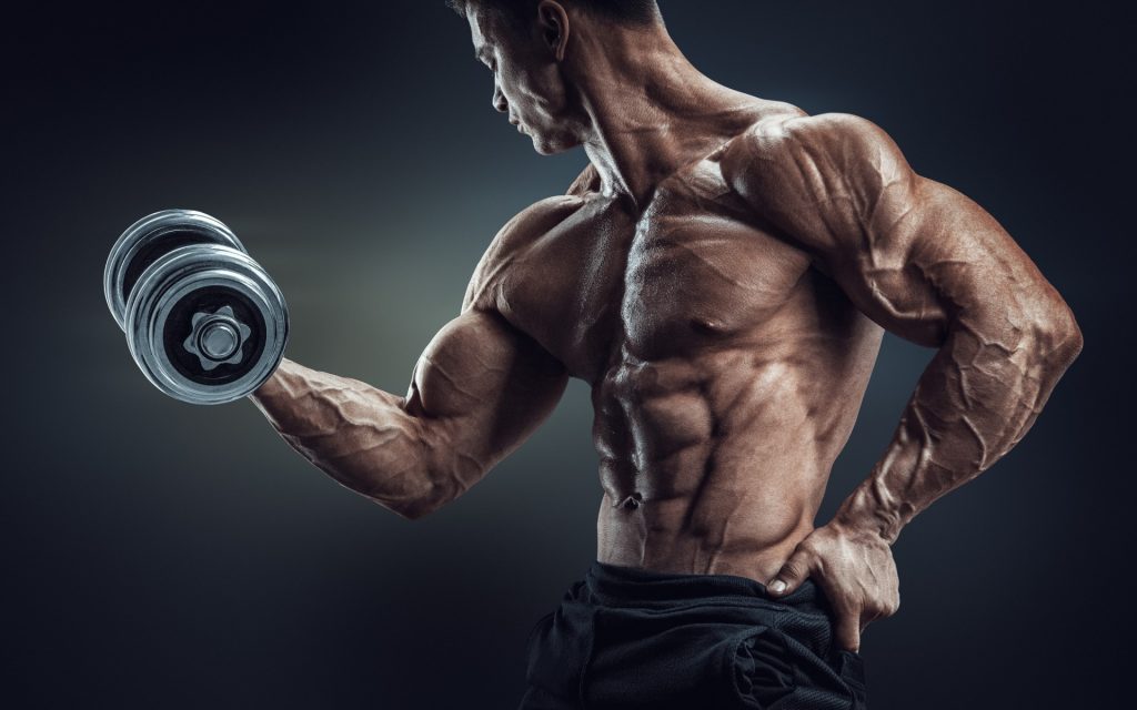 testosterone bodybuilding