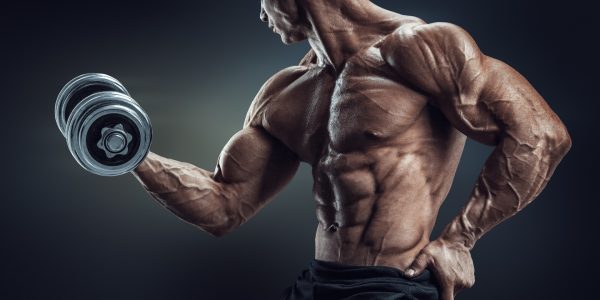 testosterone bodybuilding