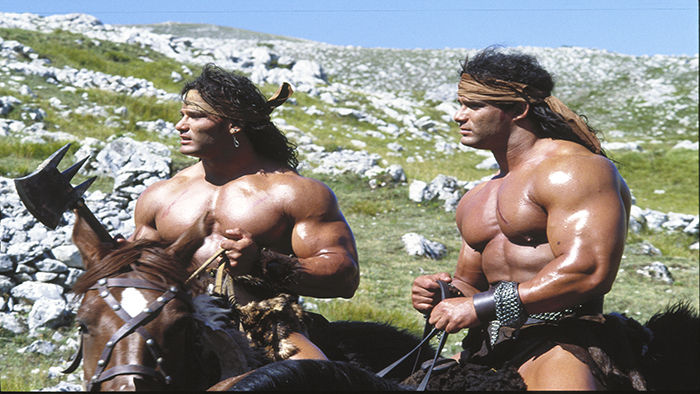 The Barbarian Brothers