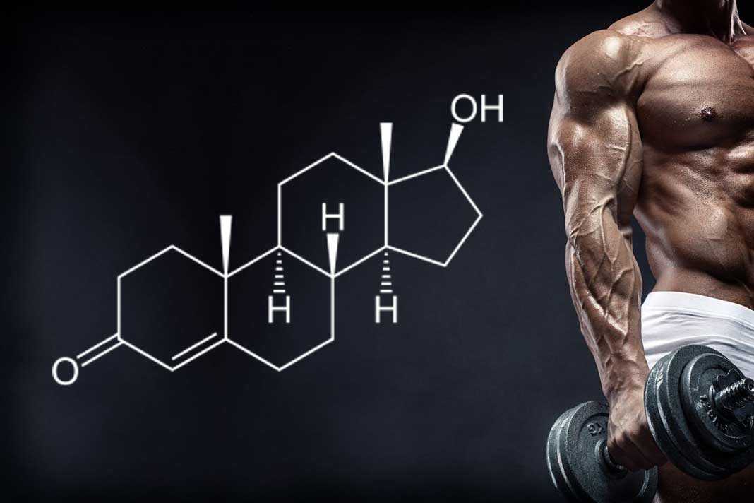 the purpose of testosterone supplements