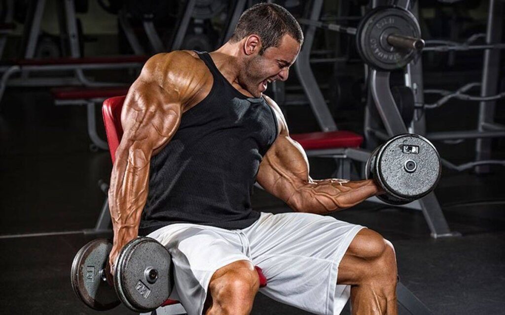 tips to stimulate your biceps and triceps