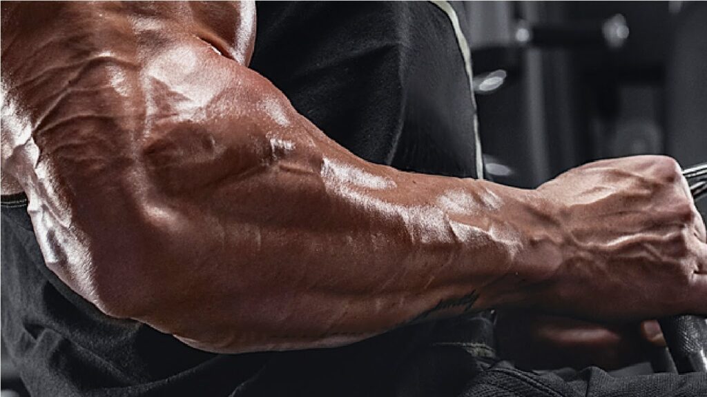 training tips for developing your forearms