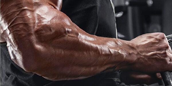 training tips for developing your forearms