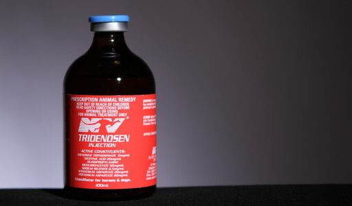 Tridenosen H