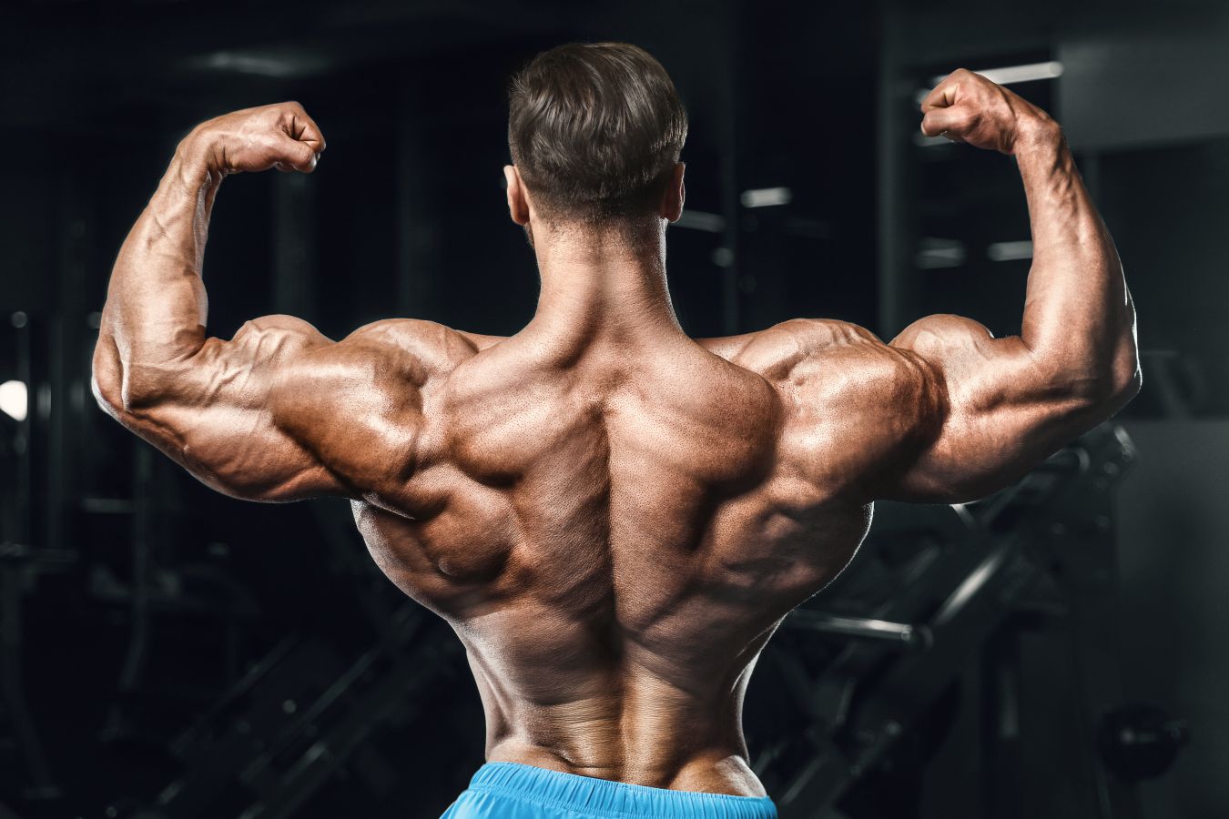 ways to get enormous arms